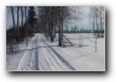 [Ieriki-Zvartas-Amata'2003]