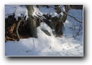 [Ieriki-Zvartas-Amata'2003]