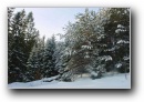 [Ieriki-Zvartas-Amata'2003]