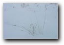 [Ieriki-Zvartas-Amata'2003]