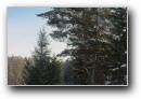 [Ieriki-Zvartas-Amata'2003]