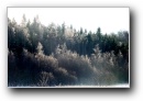 [Ieriki-Zvartas-Amata'2003]