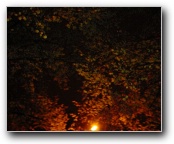 [Click to enlarge image]