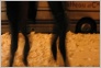 [1st raiting KVN game Tallinn 2004]