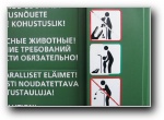 [Festival KVN Estonia'2003]
