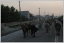 [Kavkaz 2004]