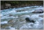 [Kavkaz 2004]