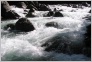 [Kavkaz 2004]
