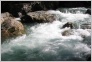 [Kavkaz 2004]