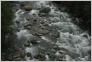 [Kavkaz 2004]