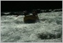 [Kavkaz 2004]