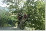 [Kavkaz 2004]