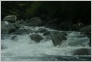 [Kavkaz 2004]
