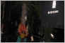 [Keret 2005]