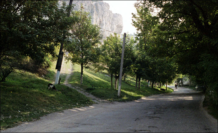 ���� 2006