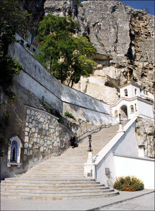���� 2006