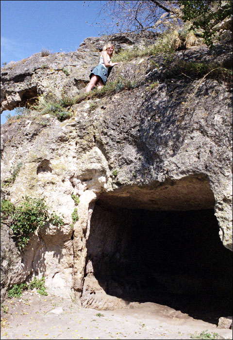 ���� 2006