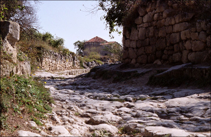 ���� 2006