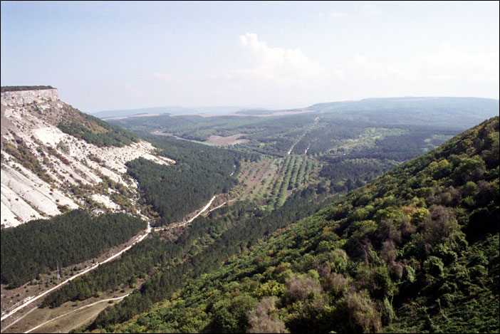 ���� 2006