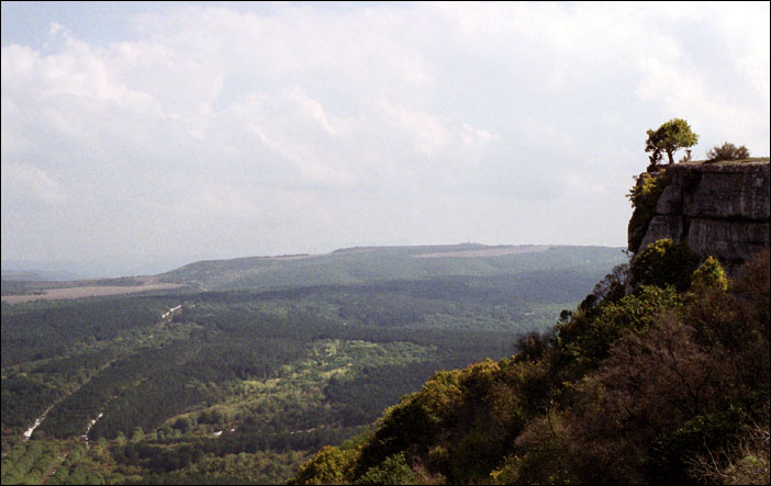 ���� 2006