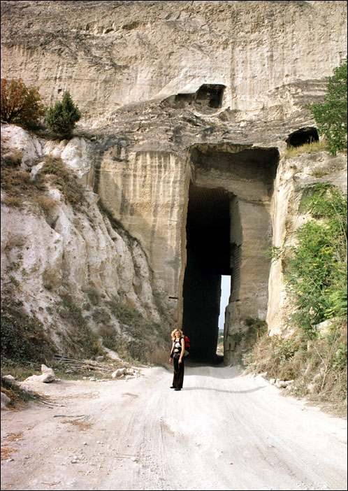 ���� 2006