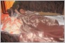 [Ligo 2004]