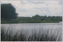 [Ludza Bard Festival 2004]