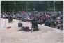 [Ludza Bard Festival 2004]