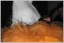 [NewYear'2004 (c) voron]