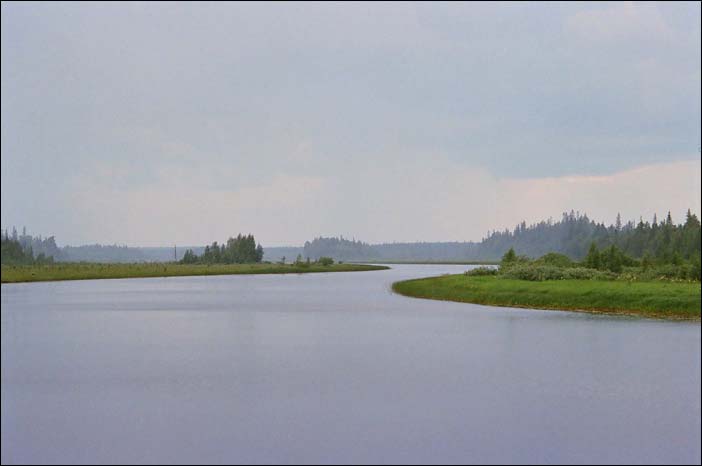 ���� ���� 2006