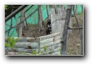 [Esoft Paintball'2003]