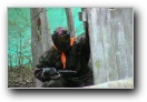 [Esoft Paintball'2003]