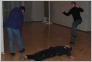 [Seminar Palanga]