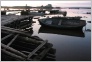 [Solovki 2004]
