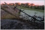 [Solovki 2004]