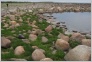 [Solovki 2004]