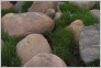 [Solovki 2004]