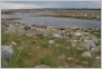 [Solovki 2004]