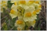 [Solovki 2004]