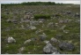 [Solovki 2004]