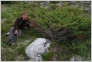 [Solovki 2004]
