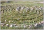 [Solovki 2004]