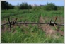 [Solovki 2004]