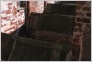 [Solovki 2004]