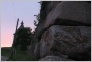 [Solovki 2004]