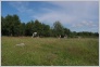 [Solovki 2004]