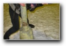 [Tallinn'07-09032003]