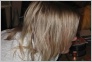 [Vermut & Antonie BD'2004 (c) voron]