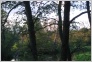 [����� �� �������]