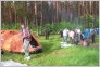 [Zhejmjane 2005]